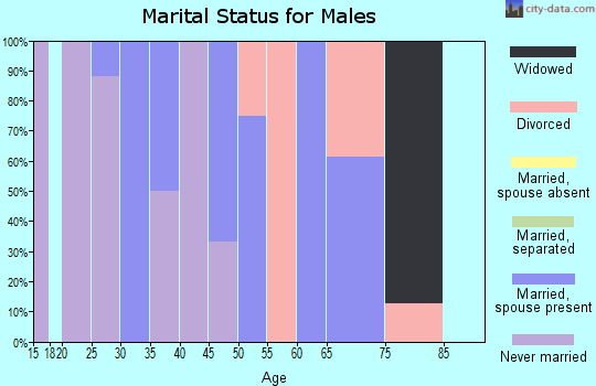 Zip code 42032 marital status for males
