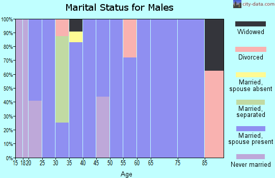 Zip code 42035 marital status for males