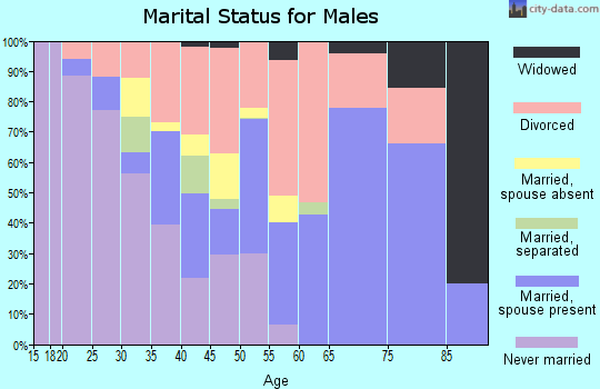 Zip code 42038 marital status for males