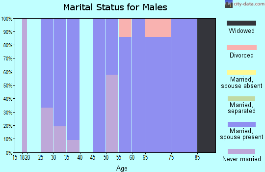 Zip code 42040 marital status for males