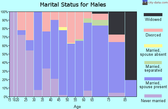 Zip code 42041 marital status for males