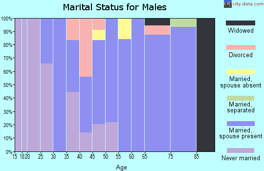 Zip code 42044 marital status for males