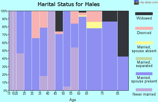 Zip code 42045 marital status for males