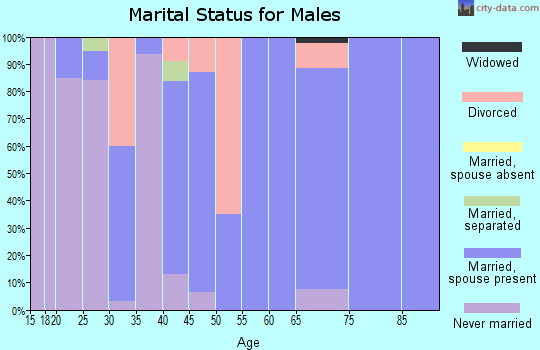 Zip code 42048 marital status for males