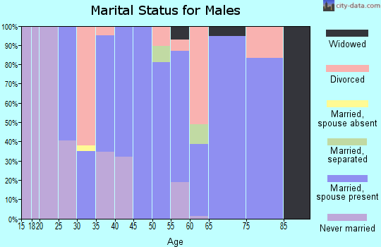 Zip code 42049 marital status for males