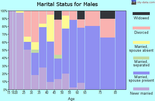 Zip code 42050 marital status for males