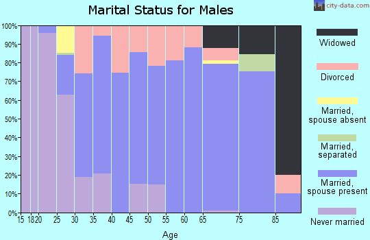 Zip code 42053 marital status for males