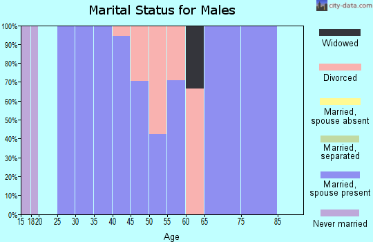 Zip code 42054 marital status for males