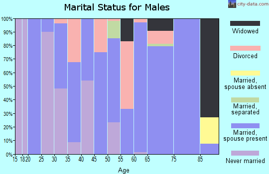 Zip code 42055 marital status for males