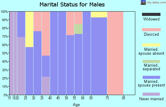 Zip code 42058 marital status for males