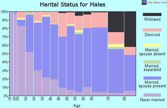 Zip code 42066 marital status for males