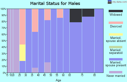 Zip code 42079 marital status for males