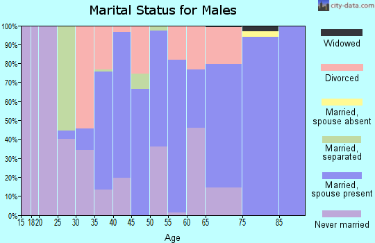 Zip code 42081 marital status for males