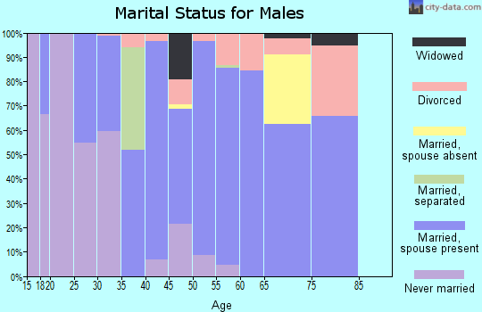 Zip code 42088 marital status for males