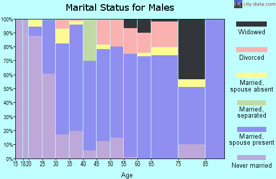 Zip code 42127 marital status for males