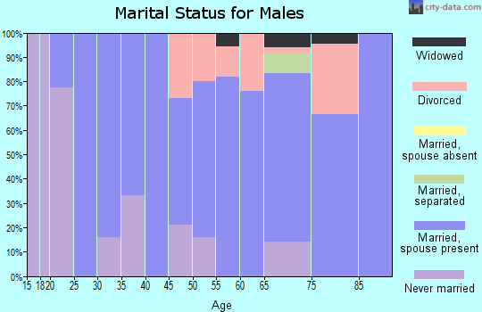 Zip code 42133 marital status for males