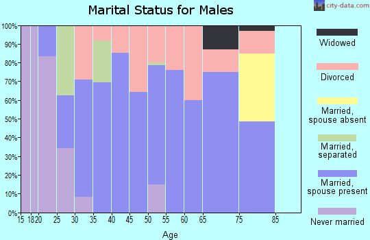 Zip code 42140 marital status for males