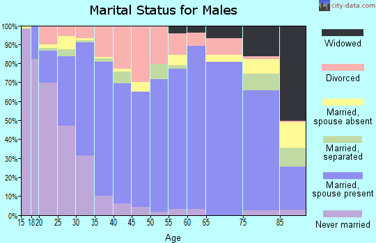 Zip code 42141 marital status for males