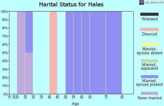 Zip code 42153 marital status for males