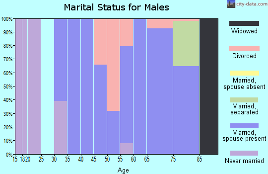 Zip code 42159 marital status for males