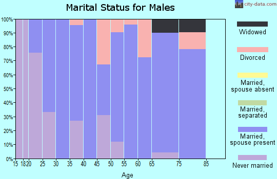 Zip code 42160 marital status for males
