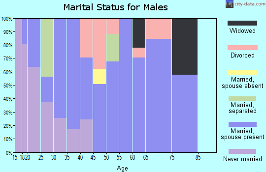 Zip code 42166 marital status for males