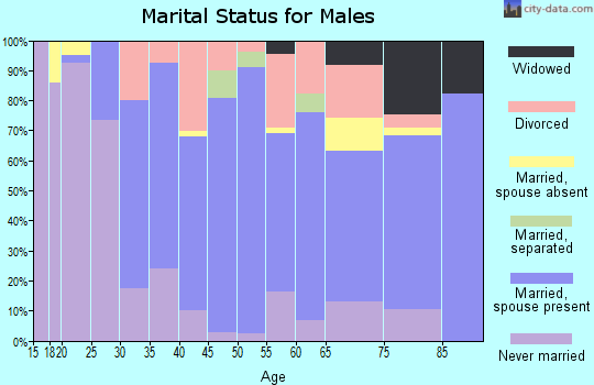 Zip code 42167 marital status for males