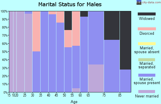 Zip code 42170 marital status for males