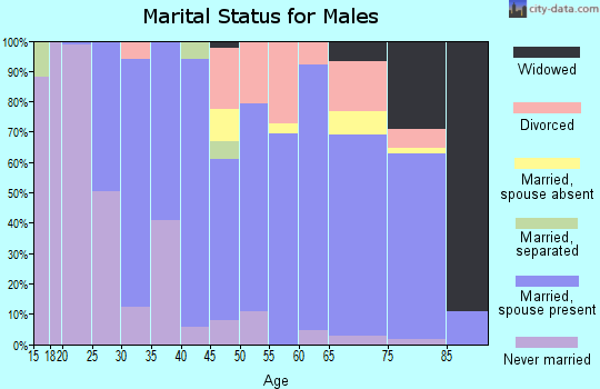 Zip code 42171 marital status for males