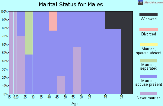 Zip code 42207 marital status for males