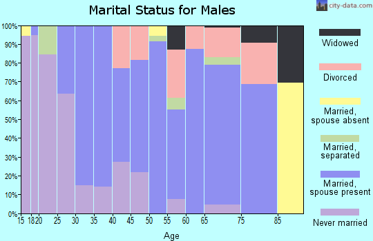 Zip code 42210 marital status for males