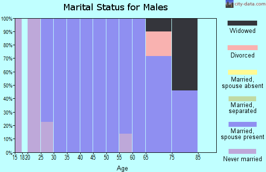 Zip code 42215 marital status for males