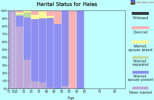 Zip code 42223 marital status for males
