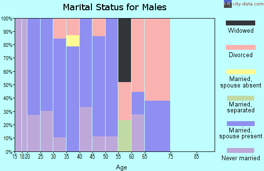 Zip code 42262 marital status for males
