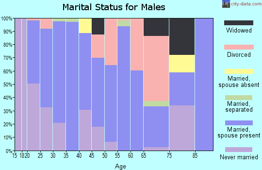 Zip code 42266 marital status for males