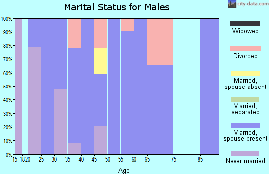 Zip code 42274 marital status for males