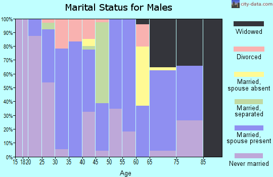 Zip code 42286 marital status for males