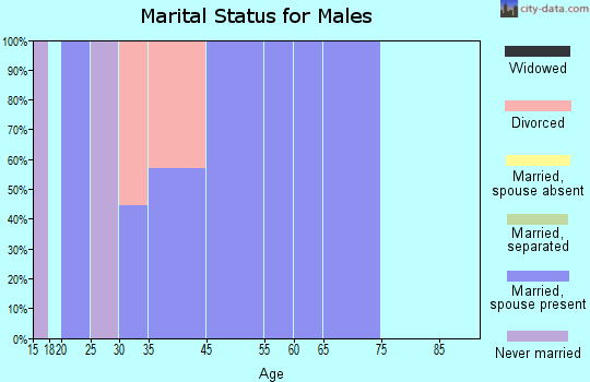 Zip code 42287 marital status for males
