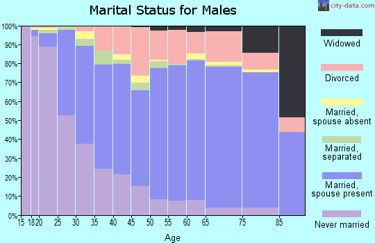 Zip code 42301 marital status for males
