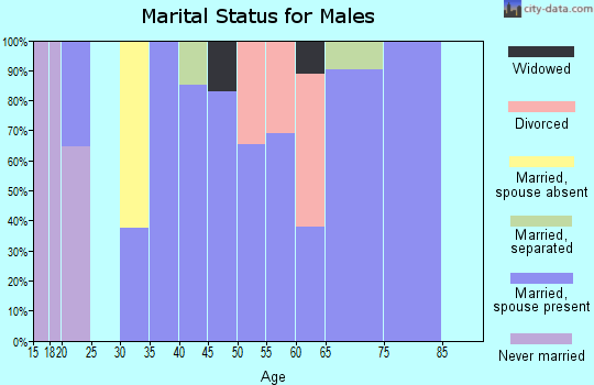 Zip code 42324 marital status for males