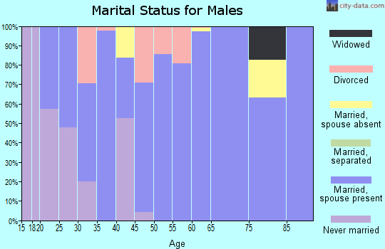 Zip code 42325 marital status for males