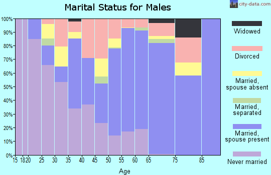 Zip code 42330 marital status for males