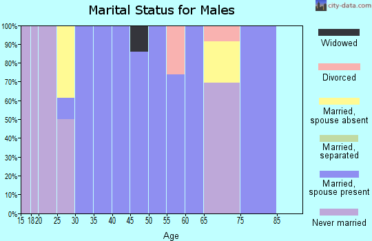 Zip code 42333 marital status for males