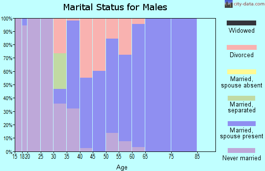 Zip code 42337 marital status for males