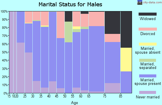 Zip code 42347 marital status for males