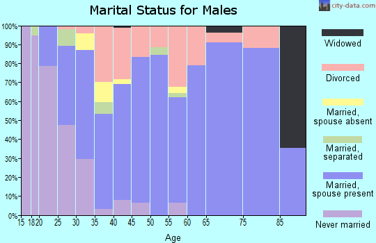 Zip code 42348 marital status for males