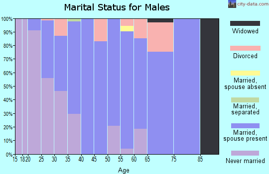 Zip code 42350 marital status for males