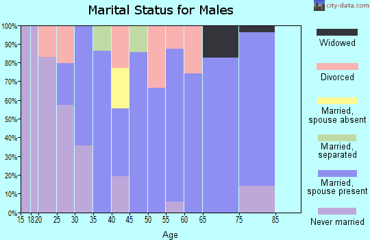 Zip code 42352 marital status for males