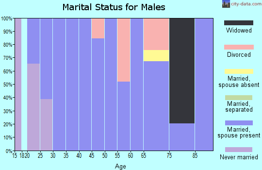 Zip code 42355 marital status for males