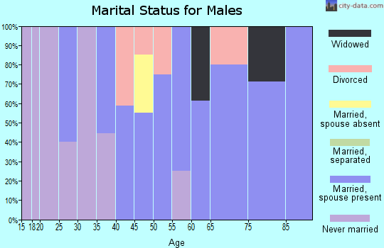 Zip code 42369 marital status for males